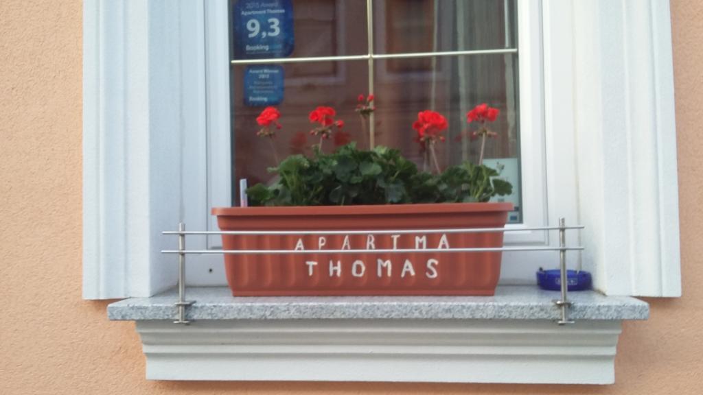 Apartment Thomas Vipava Buitenkant foto